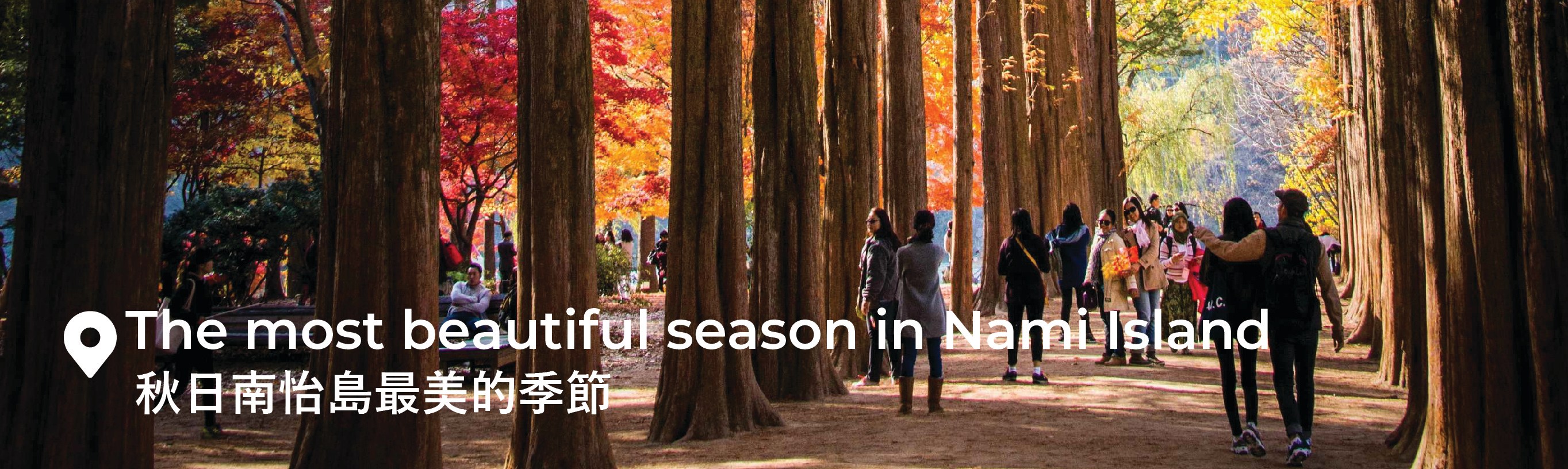 南怡島 (Nami Island) & 伊甸園冰雪世界 (Eobi Ice Valley) & 全景場 (Panorama Field) &  晨靜樹木園 (Morning Calm) 旅遊