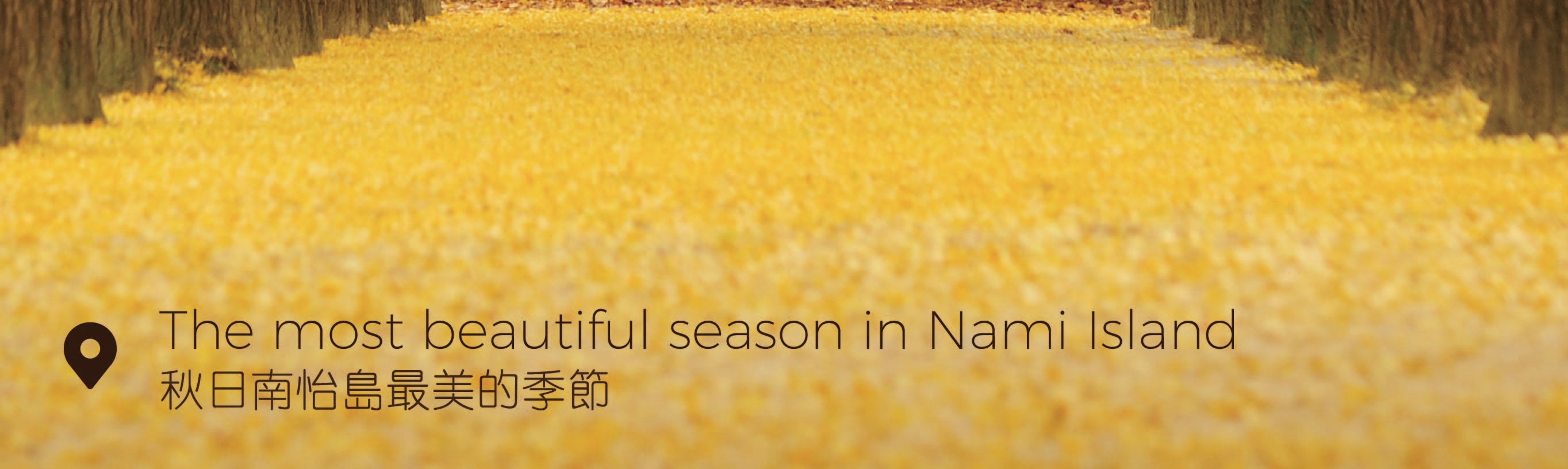 Nami Island & Happy Panorama Field & Morning Calm & Railbike