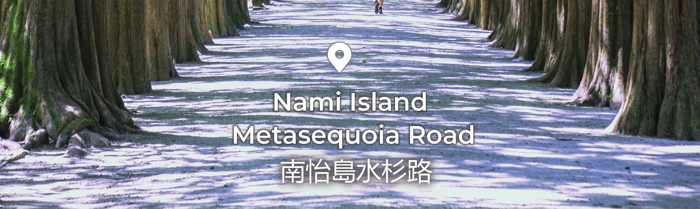 南怡島 (Nami Island) & 伊甸園冰雪世界 (Eobi Ice Valley) & 全景場 (Panorama Field) &  晨靜樹木園 (Morning Calm) 旅遊
