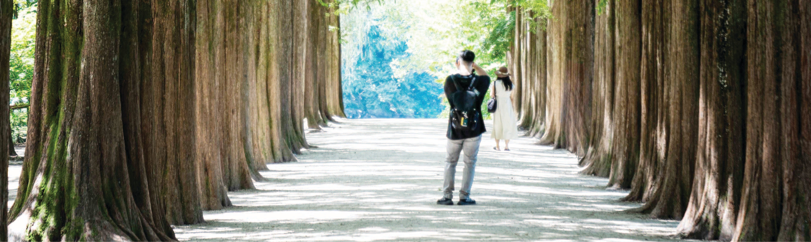 Nami Island & Happy Panorama Field & Morning Calm & Railbike