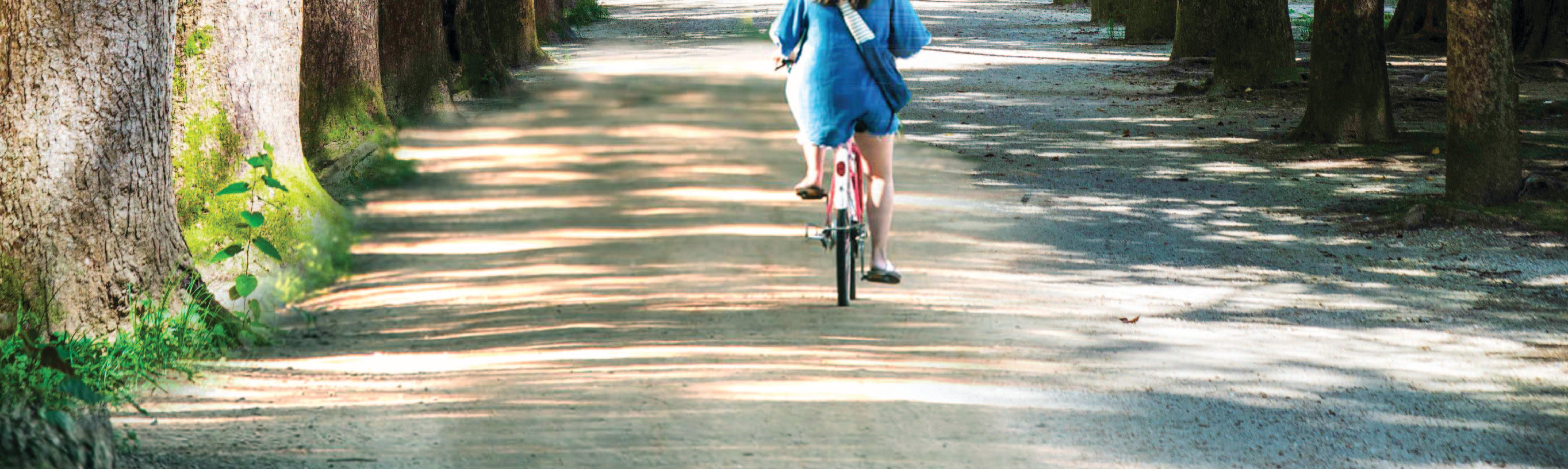 Nami Island & Happy Panorama Field & Morning Calm & Railbike