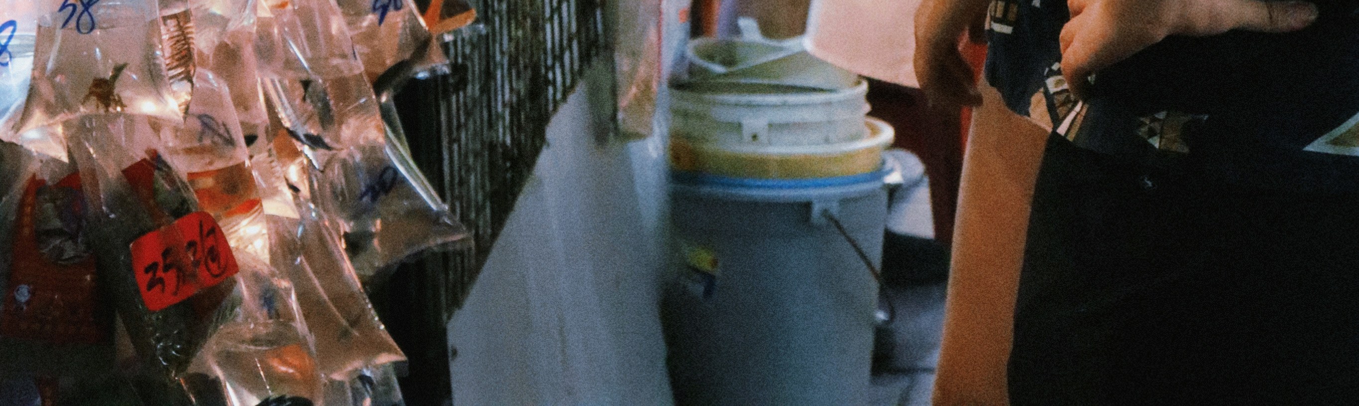 香港旅遊專業跟拍服務 