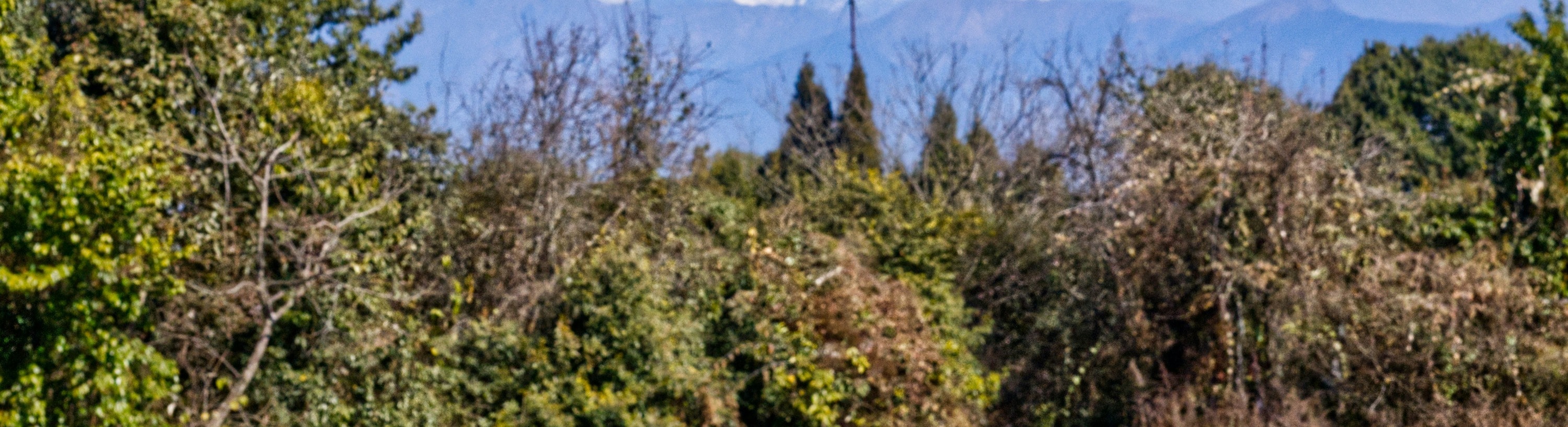 加德滿都私人一日徒步旅行