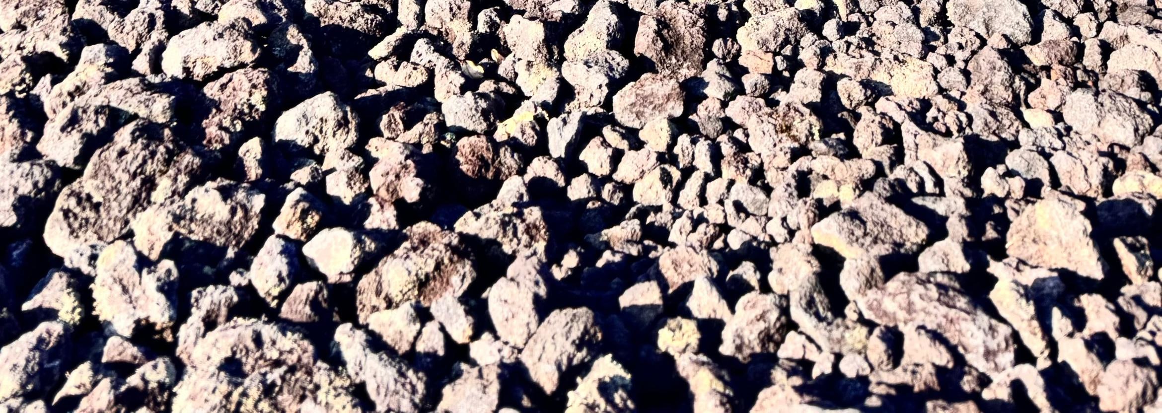 巴杜爾火山（Mount Batur）吉普車日出探險與植樹體驗