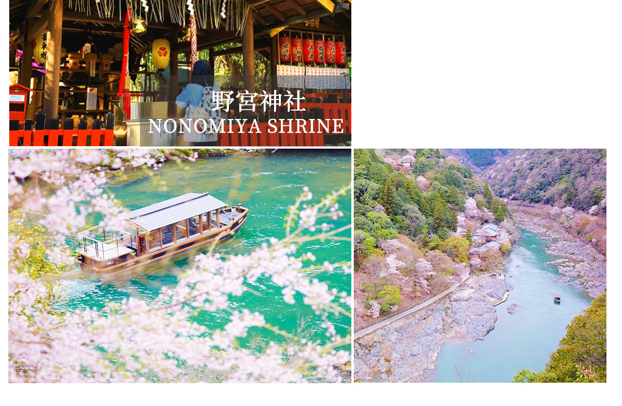 Kyoto Kinkaku-ji Temple, Arashiyama Free Stroll & Night Cherry Blossom/Autumn Leaves Illumination Arashiyama Sagano Romantic Train Day Trip (Departing from Osaka/Kyoto) - Thumbnail 10
