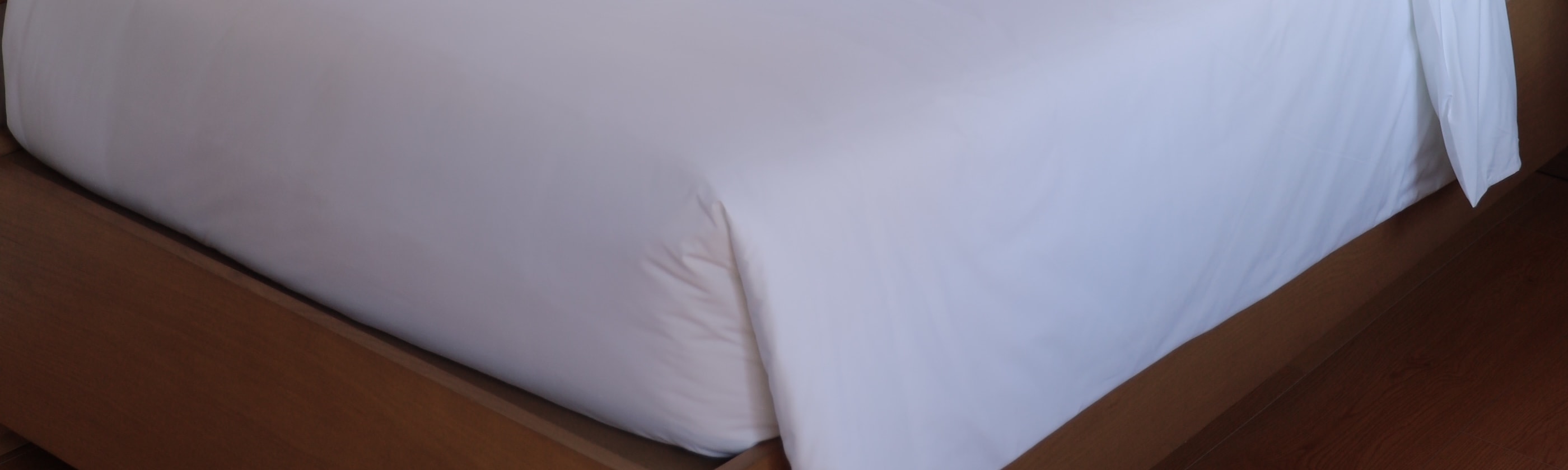 Combo Hotel + Admission to Novadreams Phan Thiet + Transportation