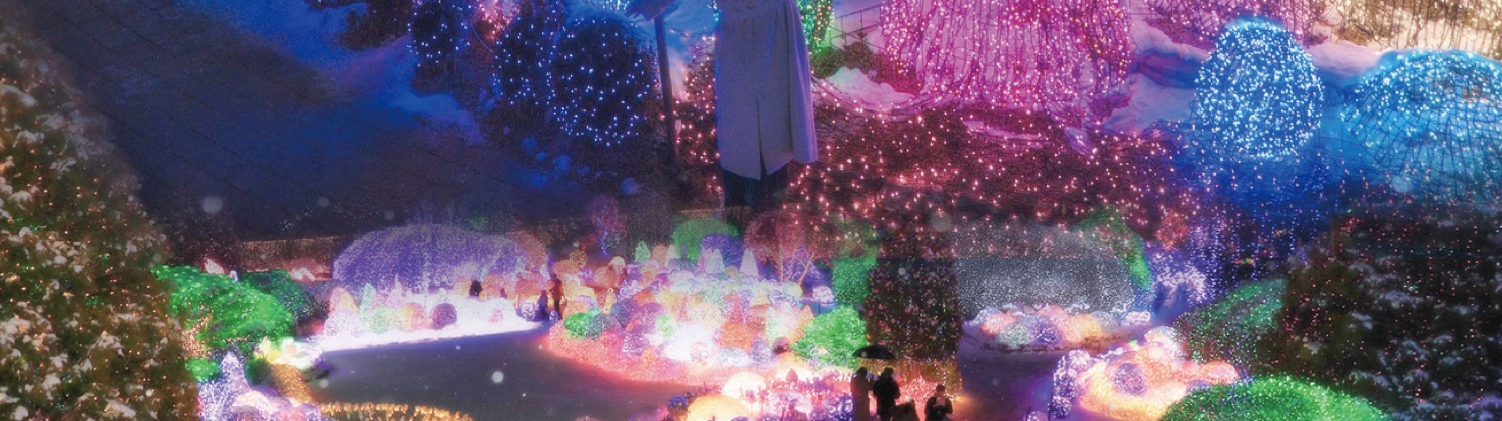 Cheongyang Ice Festival & Nami & Eobi Ice Valley & Strawberry Tour