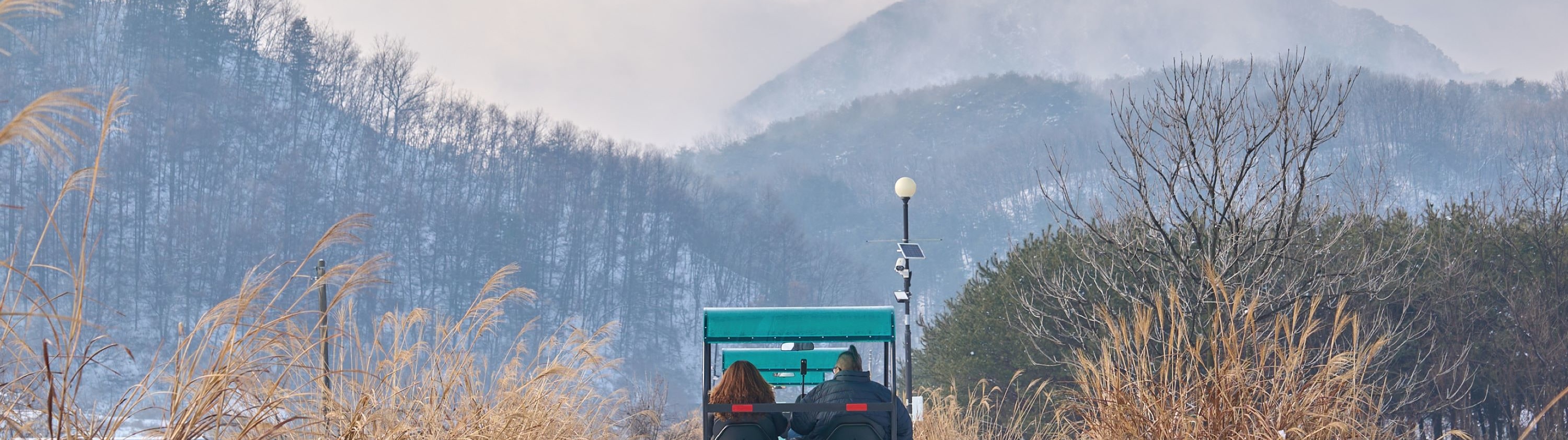Cheongyang Ice Festival & Nami & Eobi Ice Valley & Strawberry Tour