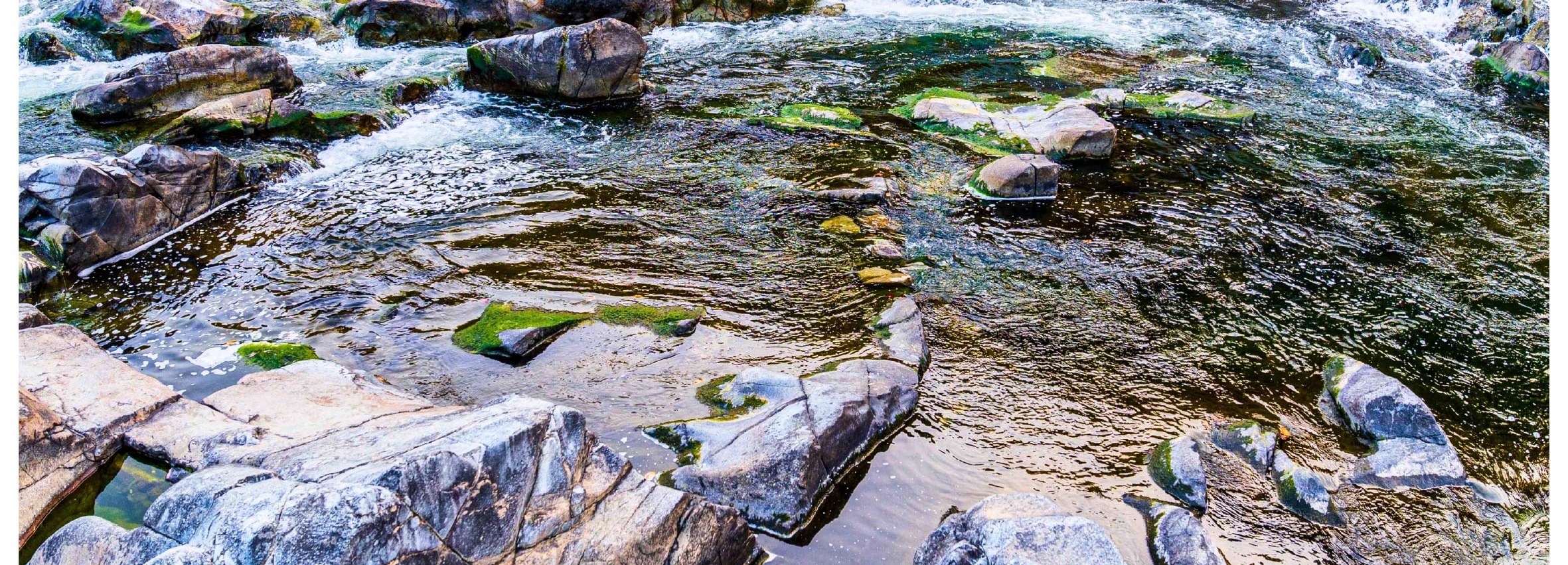 [秋季]周王山賞楓一日遊(釜山出发)	