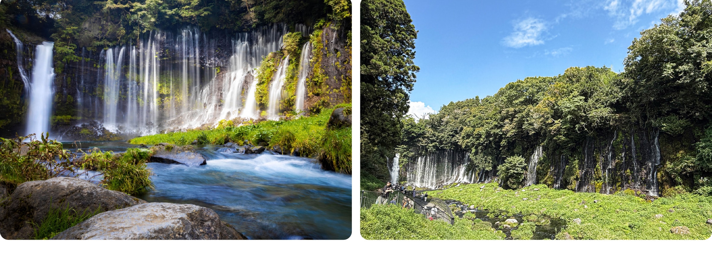 富士山 & 箱根: 富士山五合目/河口湖/大石公園/忍野八海/大涌谷/大淵笹場/雕刻之森美術館/箱根纜車/海賊船 (中/英/韓語導遊)