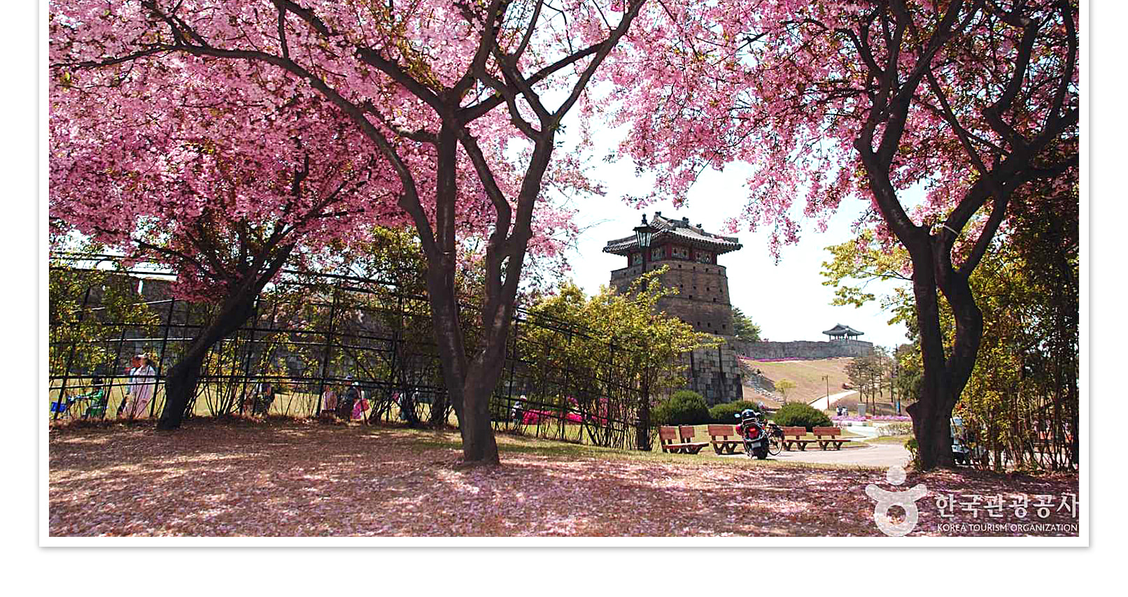 首爾出發，水原華城 + 星田 + 臥龍寺一日遊