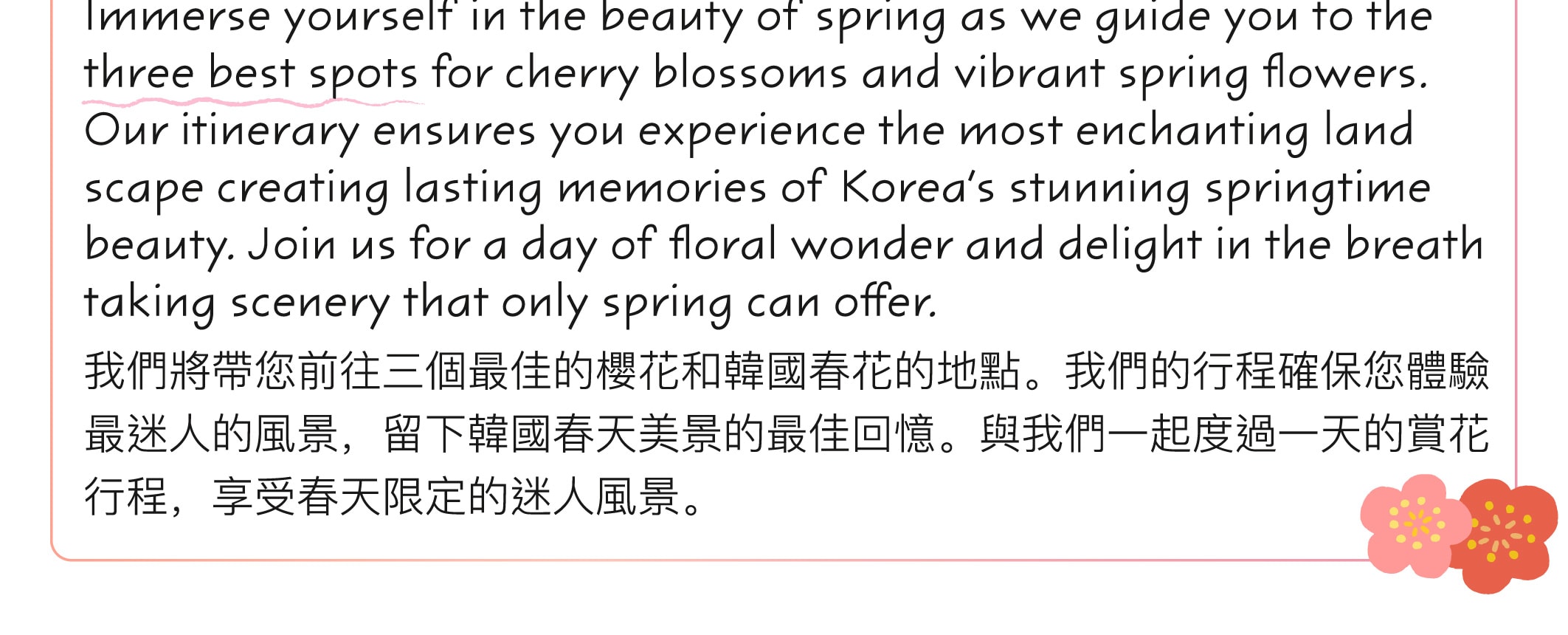 [盲盒櫻花團]浪漫追櫻 & 春季賞花一日遊（首爾出發）