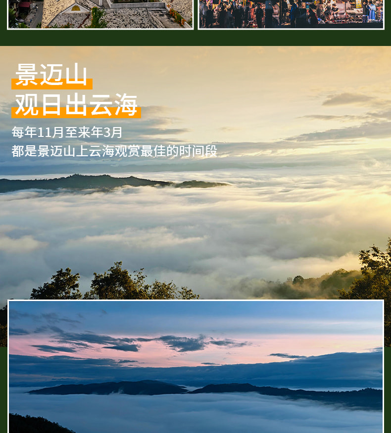 雲南版納往事6日（告莊夜市+傣族園+景邁山+中科院植物園+雨林徒步+野象谷+糯幹翁基古寨）
