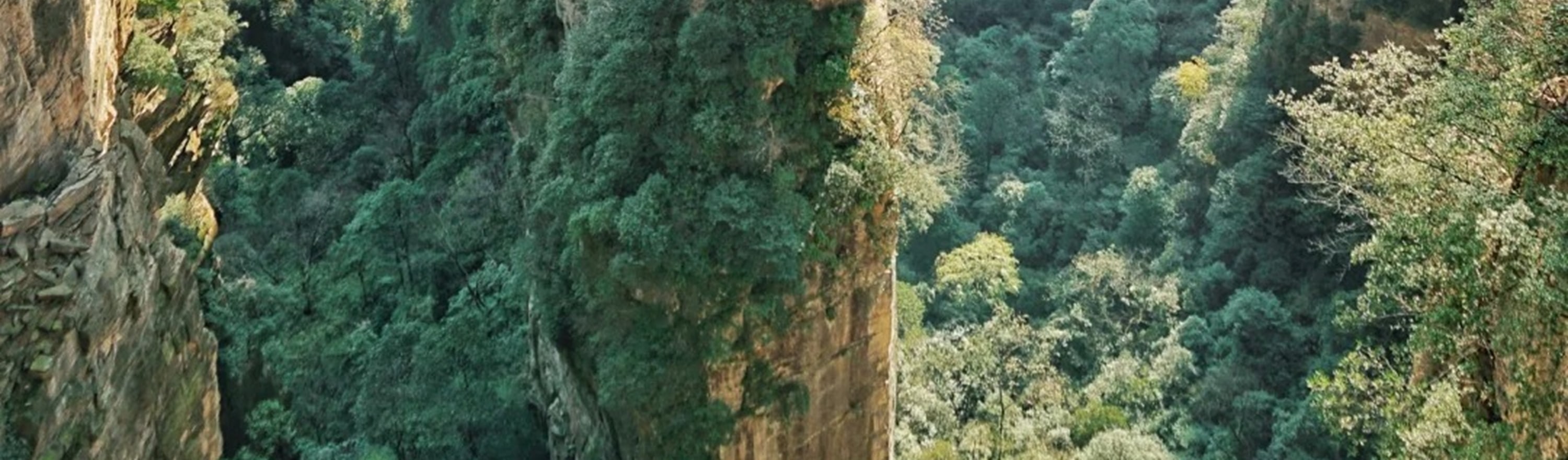 湖南魅力張家界高端純玩3日之旅（天門山洞+百龍天梯+喀斯特地貌+懸崖玻璃棧道+乘纜車看絕美景色+打卡《阿凡達》取景地+暢遊5A精華景點）