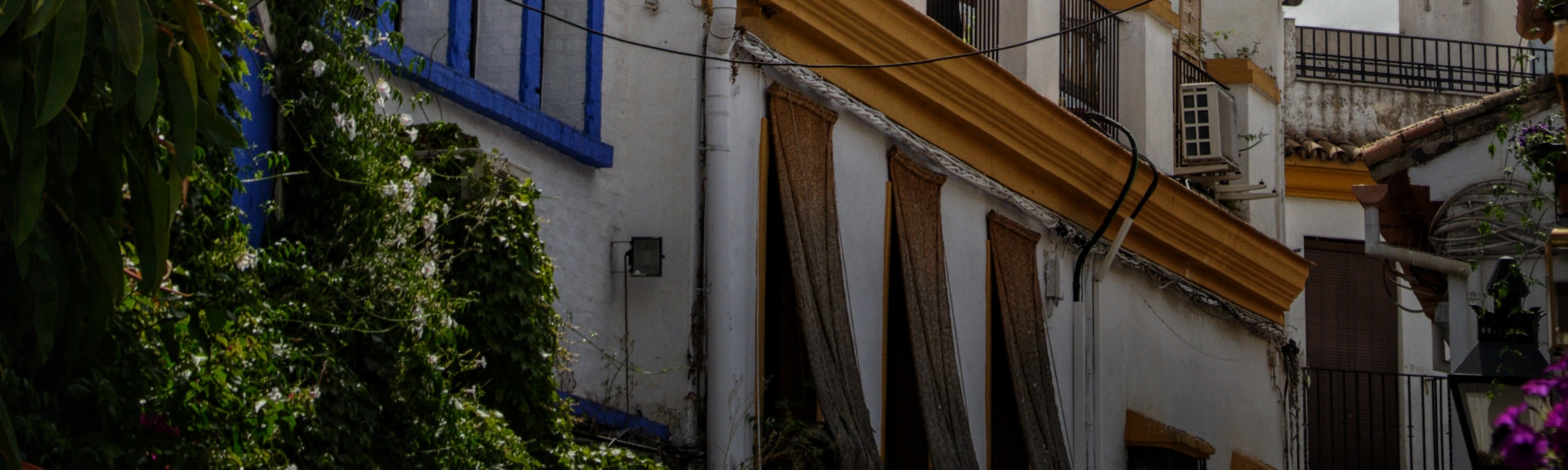 From Granada: Transfer to Seville