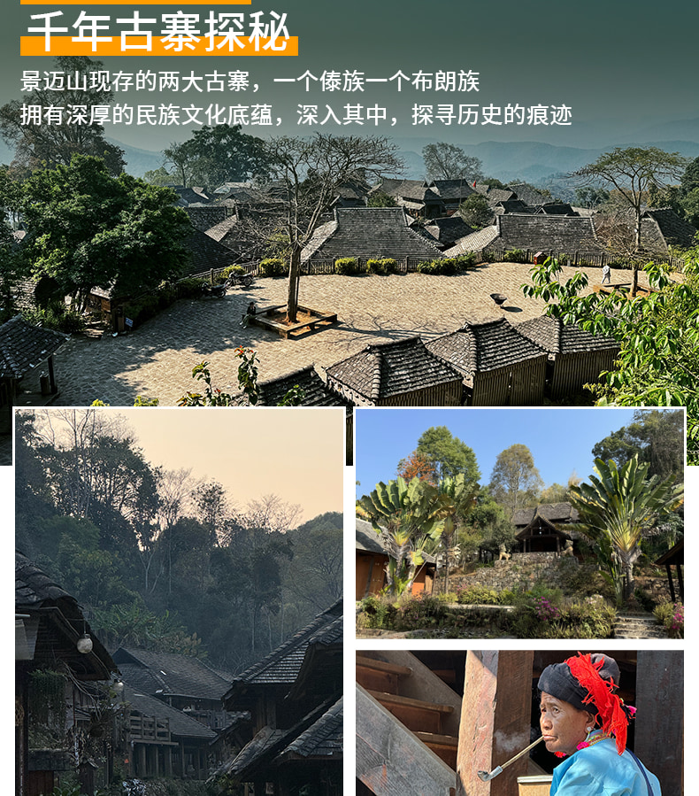 雲南版納往事6日（告莊夜市+傣族園+景邁山+中科院植物園+雨林徒步+野象谷+糯幹翁基古寨）