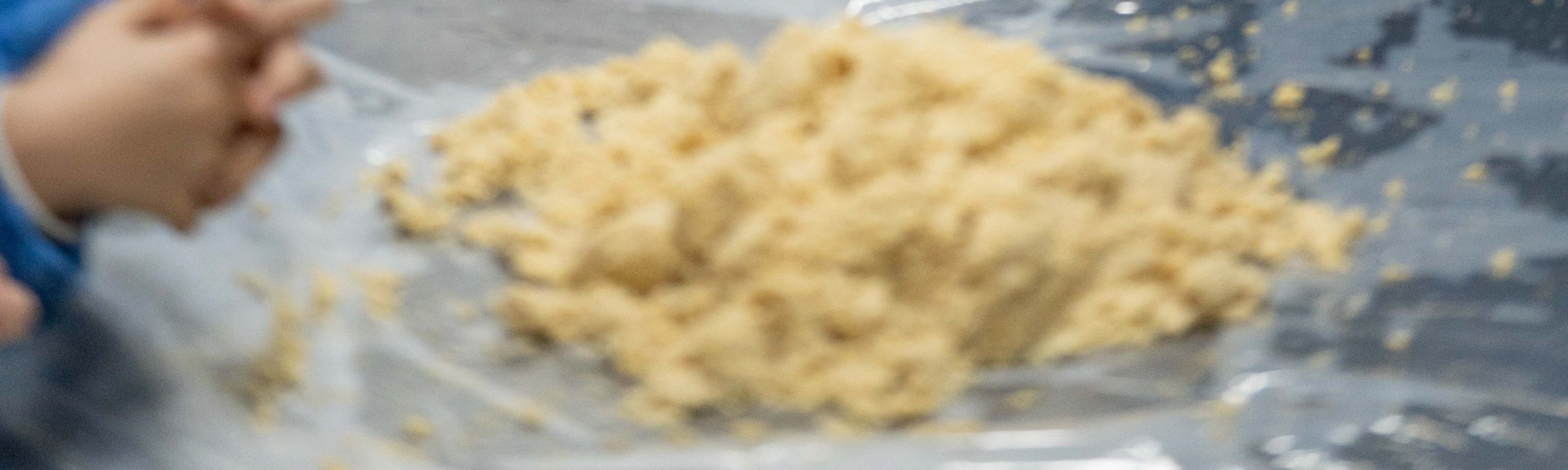 【櫻花季促銷】成都熊貓志工1日愛心體驗都江堰/臥龍熊貓基地親子營+研學體驗+贈紀念禮包頒發證書+國寶探秘+瞭解大熊貓知識
