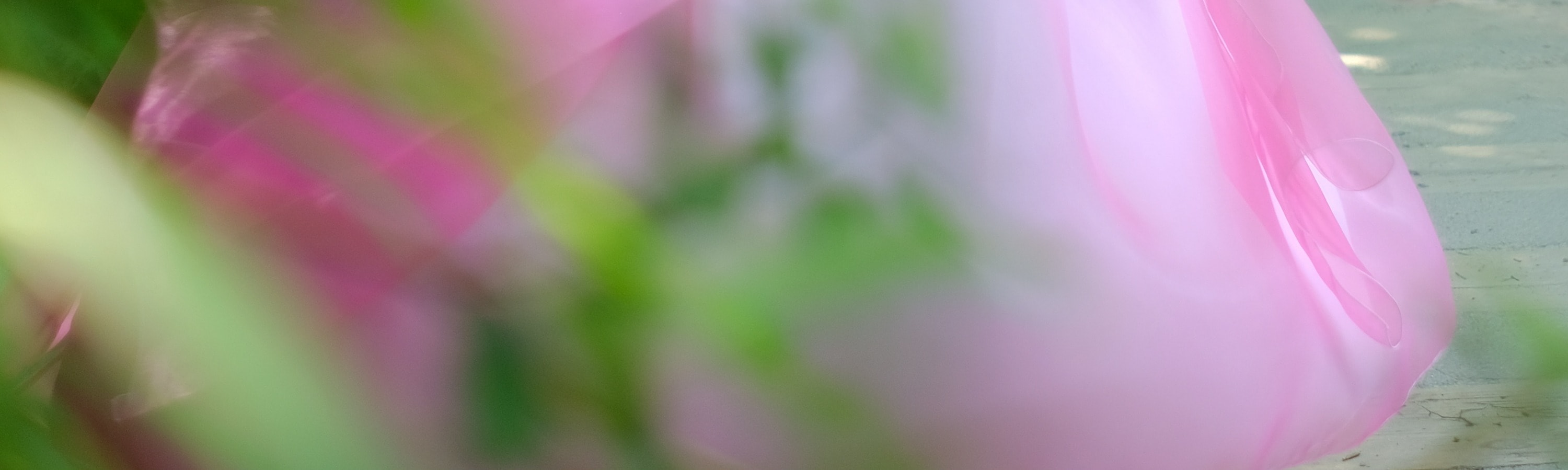 韓國公主韓服租賃 & 拍攝體驗
