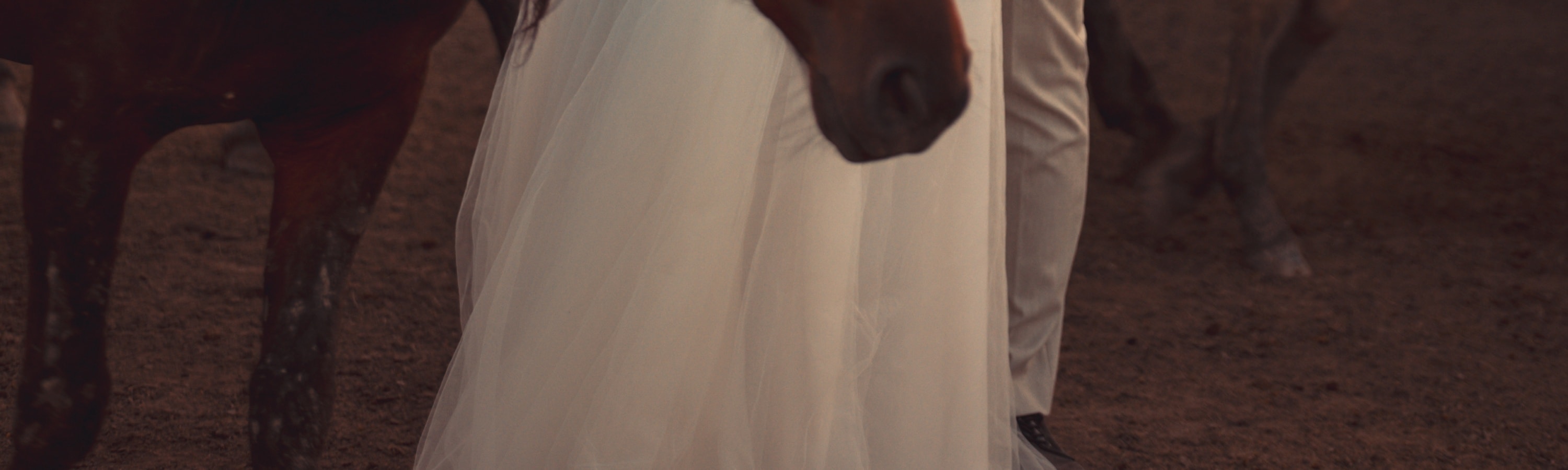Private Photoshoot With Wild Horses in Cappadocia - Thumbnail 17