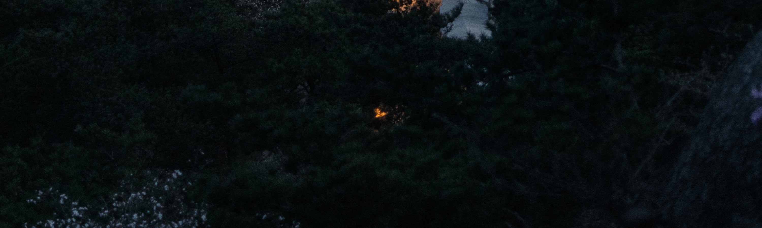 首爾夜景 & 當地市場街頭小吃品嚐體驗