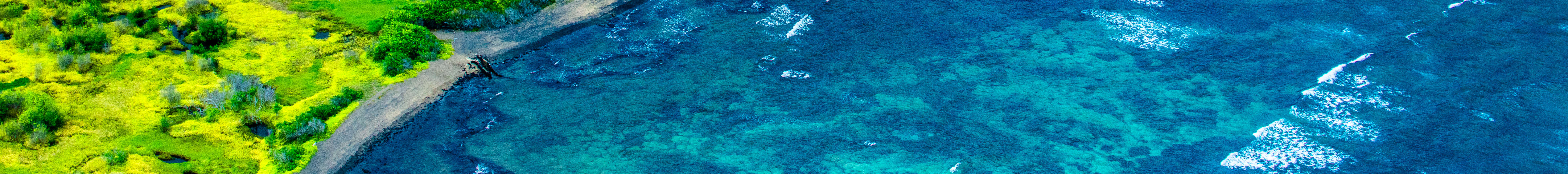 Kona Coast Scenic - 30 Min Helicopter Tour - Doors Off or On