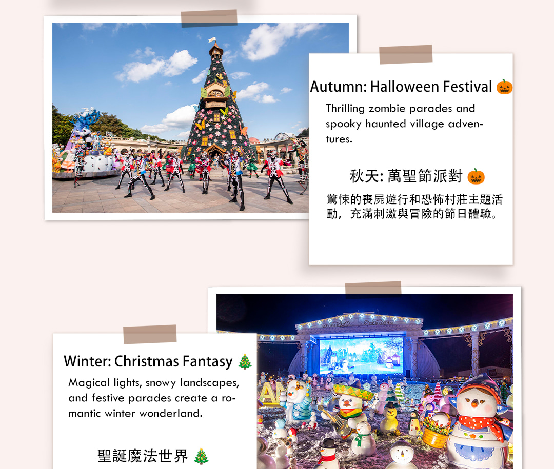 首爾愛寶樂園 (Everland) 夜間導覽，包含所有費用