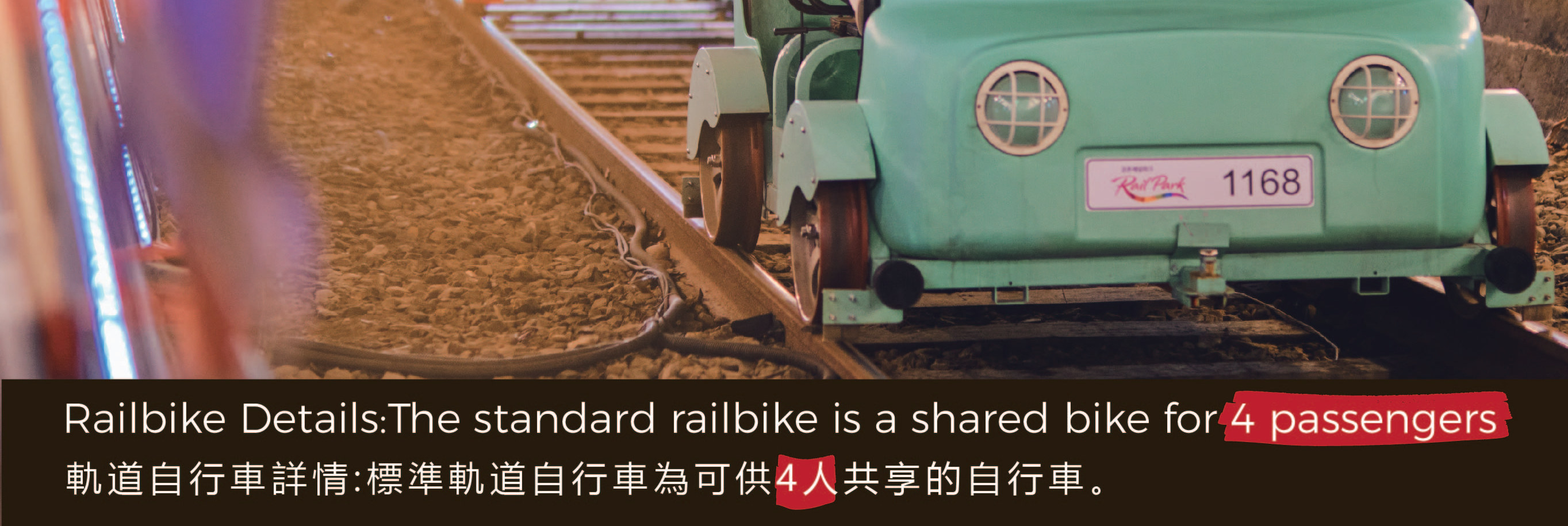 Nami Island & Happy Panorama Field & Morning Calm & Railbike
