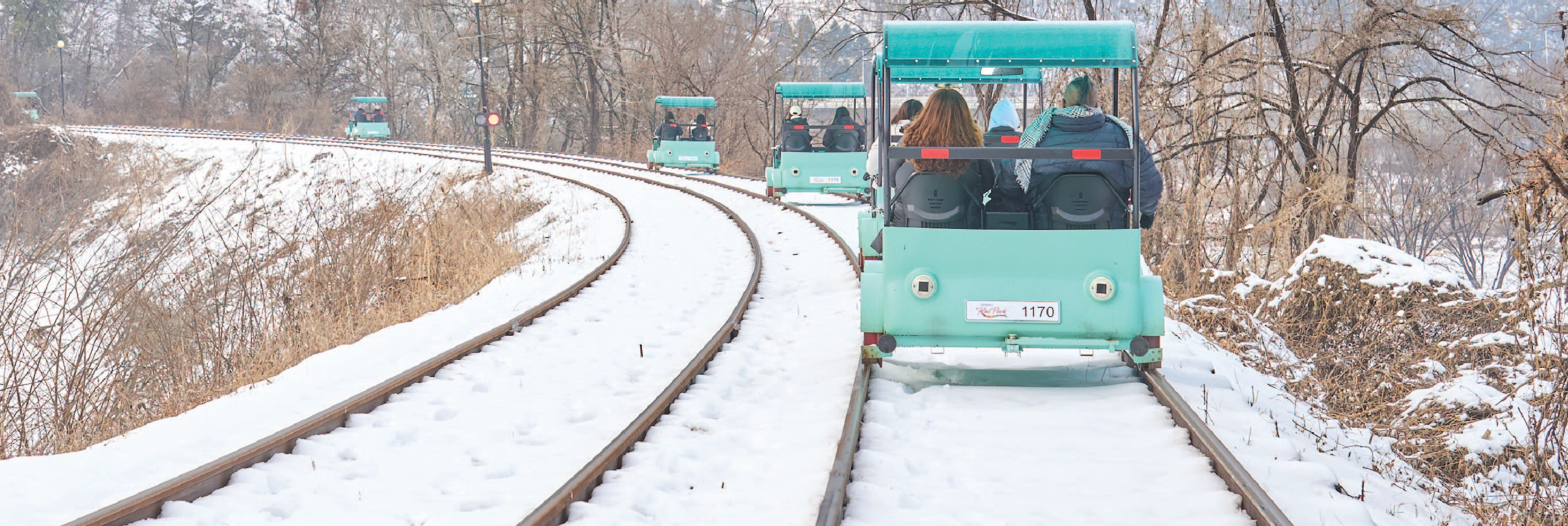 Nami Island & Happy Panorama Field & Morning Calm & Railbike