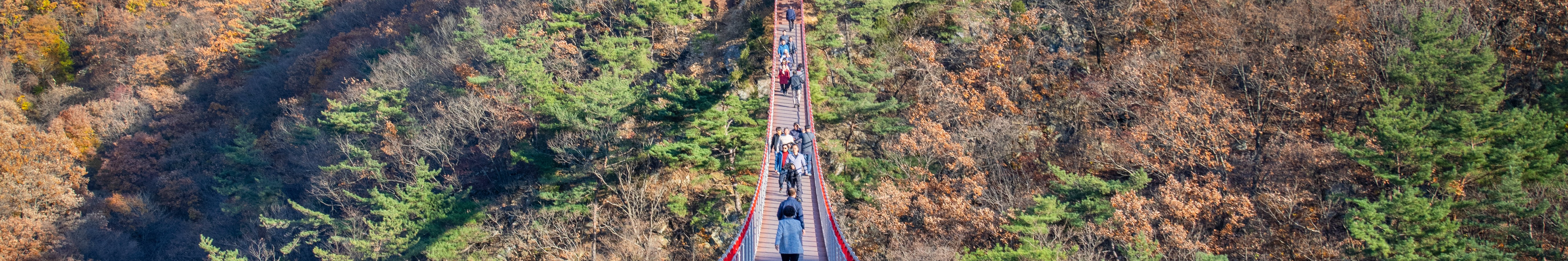 由在地專業導遊帶領的首爾DMZ非軍事區深度探索之旅