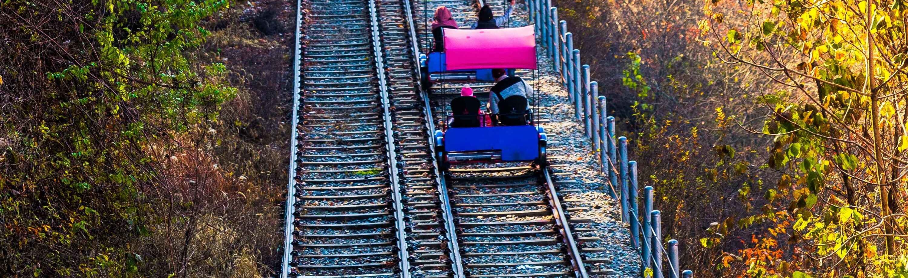 軌道自行車(近南怡島) 軌道自行車(近南怡島)