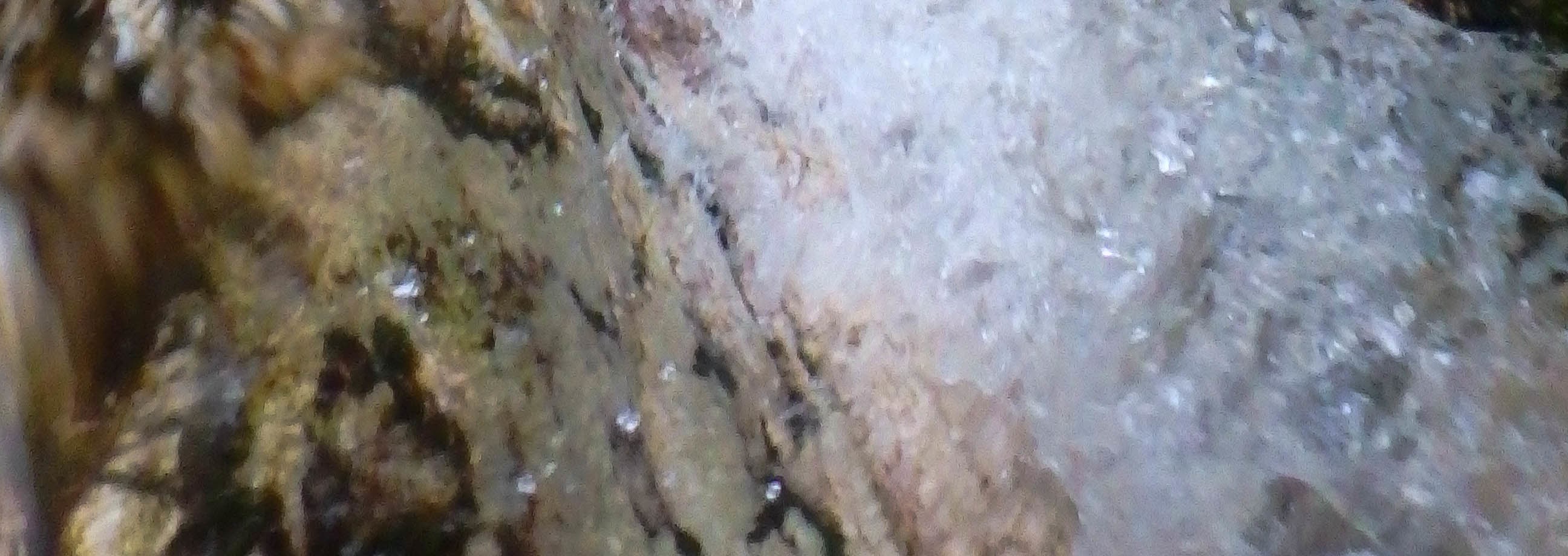 Exciting Canyoning in Susec canyon