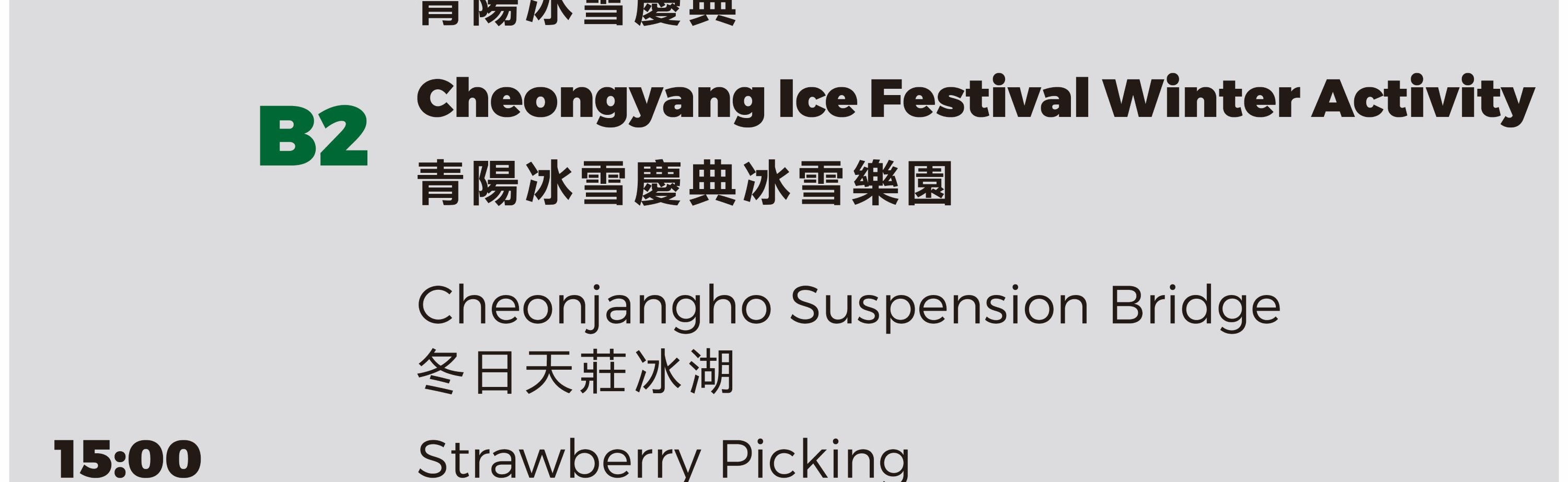 Cheongyang Ice Festival & Nami & Eobi Ice Valley & Strawberry Tour