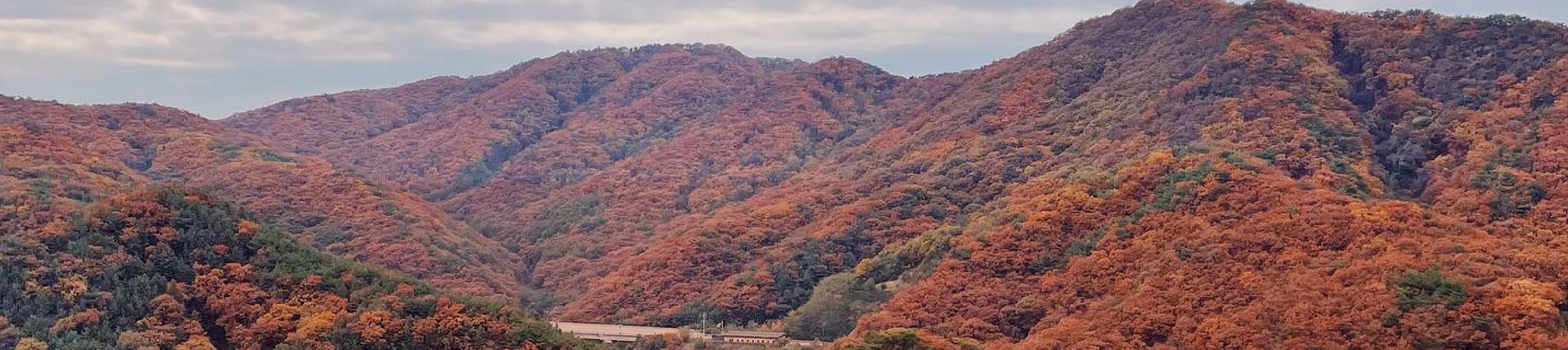 首爾市 & 季節性熱門景點一日遊