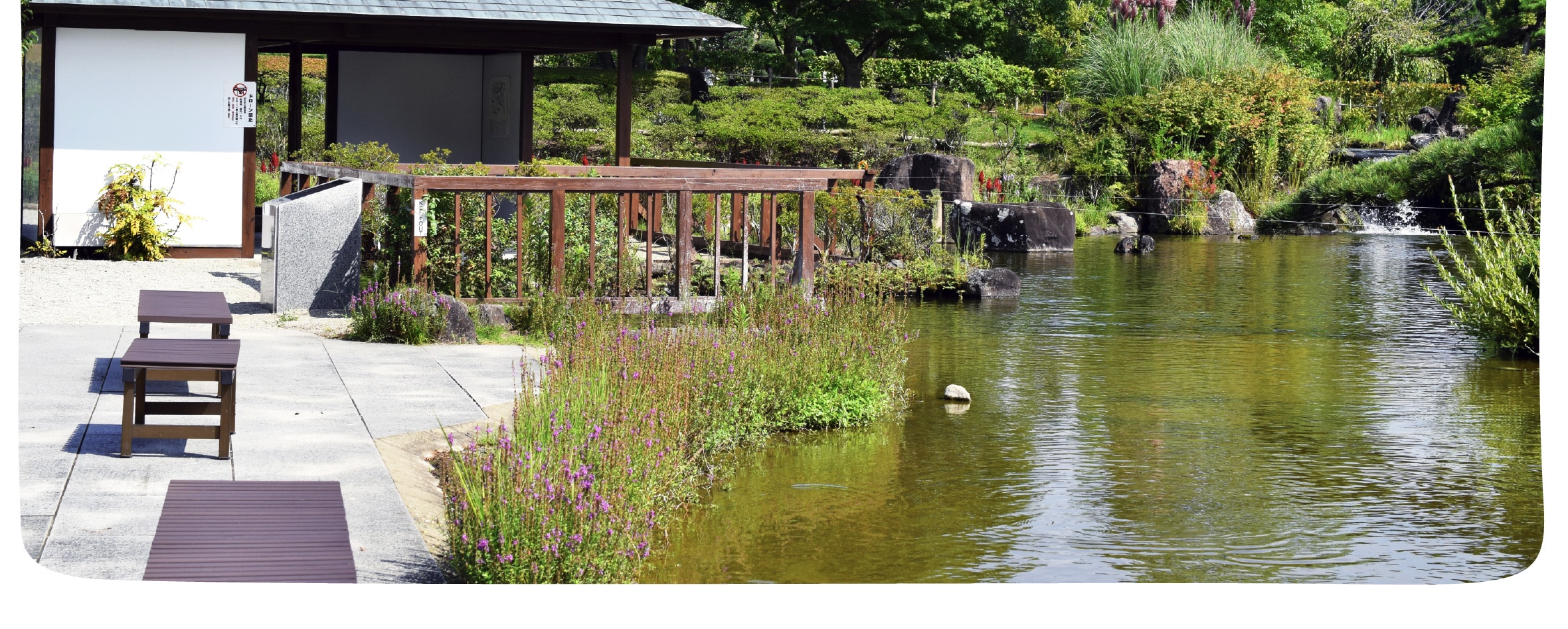 季節限定: 國營常陸海濱公園 & 足利花卉公園一日遊 (東京出發)