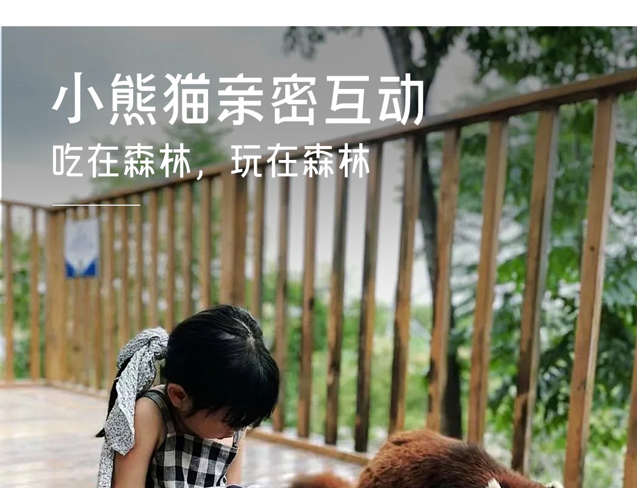 ❣️【放虎归山】云南西双版纳普洱6天5晚亲子游私家团(普洱森林公园+夜游植物园+小熊猫互动+告庄旅拍) 行程图 16