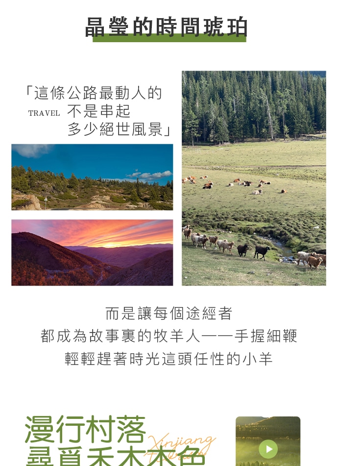 新疆喀納斯禾木環野疆北7日（全程攝影旅拍+坦克300+阿禾公路+自駕邊境村落白哈巴+中哈邊境大峽谷+白樺林景區+海上魔鬼城+鐵賈公路）