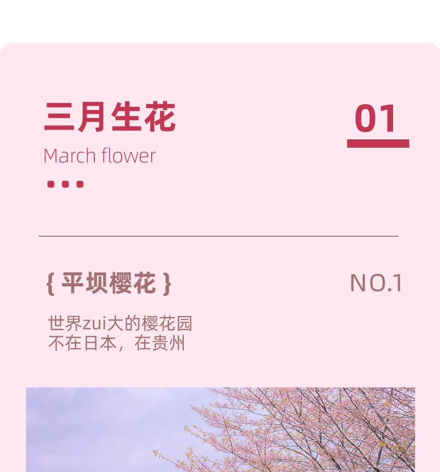 【櫻花限定】貴州平壩櫻花3天2晚（貴陽往返+四鑽酒店+平壩萬畝櫻花園+黃果樹大瀑布+櫻花旅拍+24小時接送機/站）