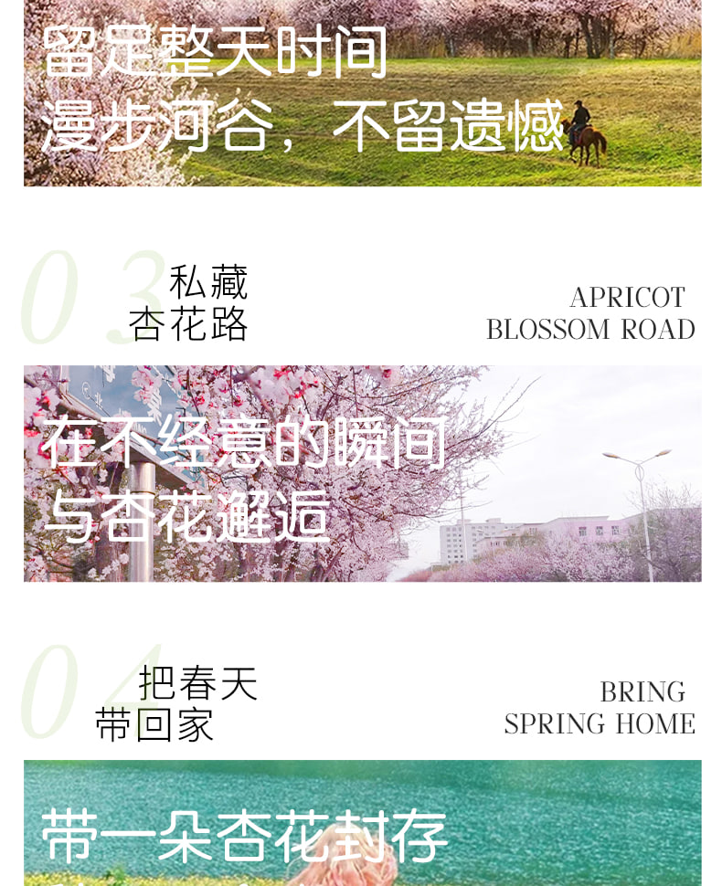 新疆早春伊犁杏韻伊春7日（攝影領隊全程陪同+大西溝+吐爾根杏花+賽里木湖+庫爾德寧草原小火鍋+安集海大峽谷+喀贊其下午茶）