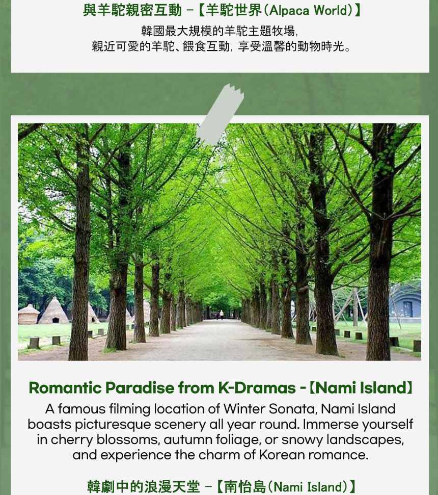 羊駝世界 & 南怡島 & 江村鐵路自行車 & 小法國村 & 樂高樂園