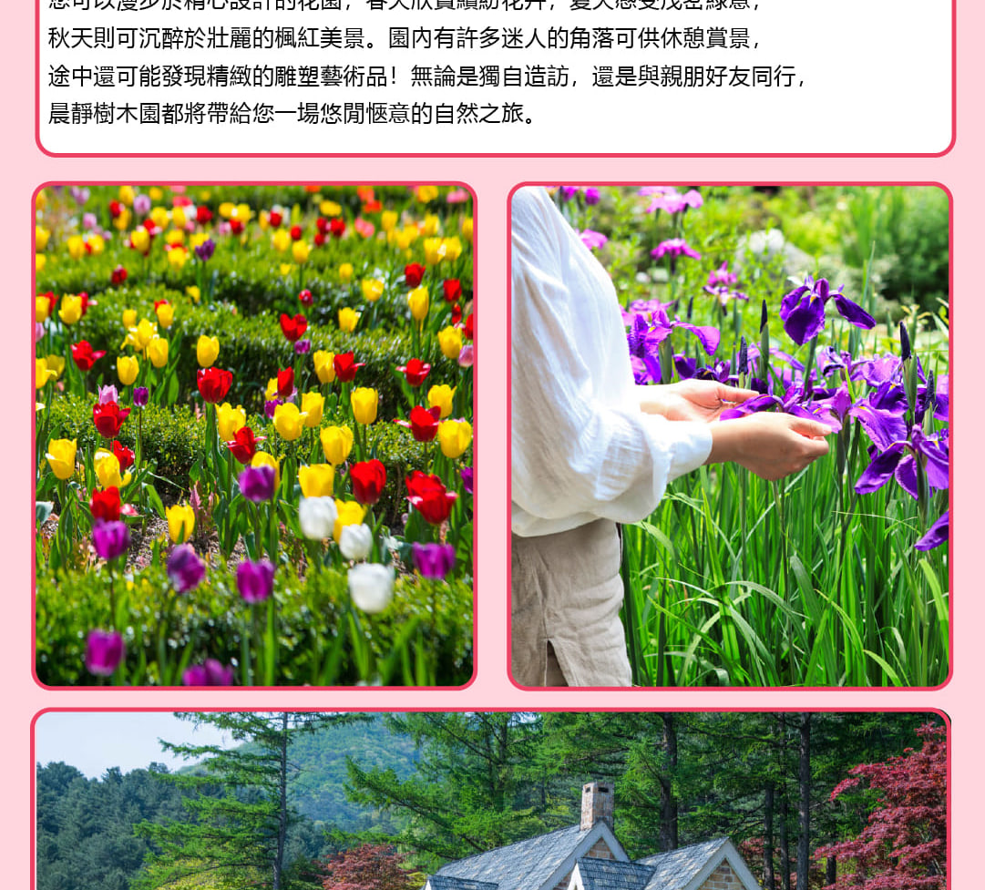 首爾樂天世界 & 南怡島觀光 & 影視主題多天遊
