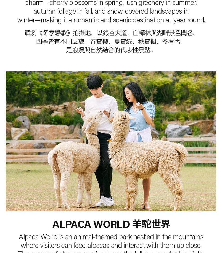 草泥馬樂園＆南怡島10小時私人一日遊