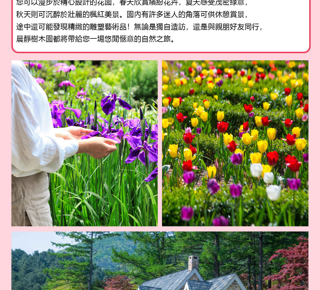 南怡島 & 樂天世界一日遊（含免費餐券和禮品）