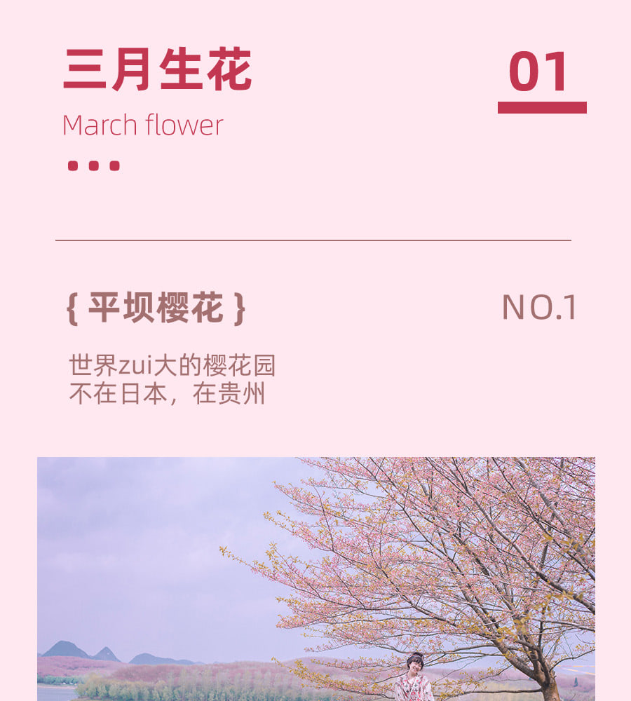 【櫻花限定】貴州平壩櫻花6天5晚（黃果樹大瀑布+平壩櫻花園&攝影跟拍+荔波小七孔+西江千戶苗寨&苗族蠟染手作）