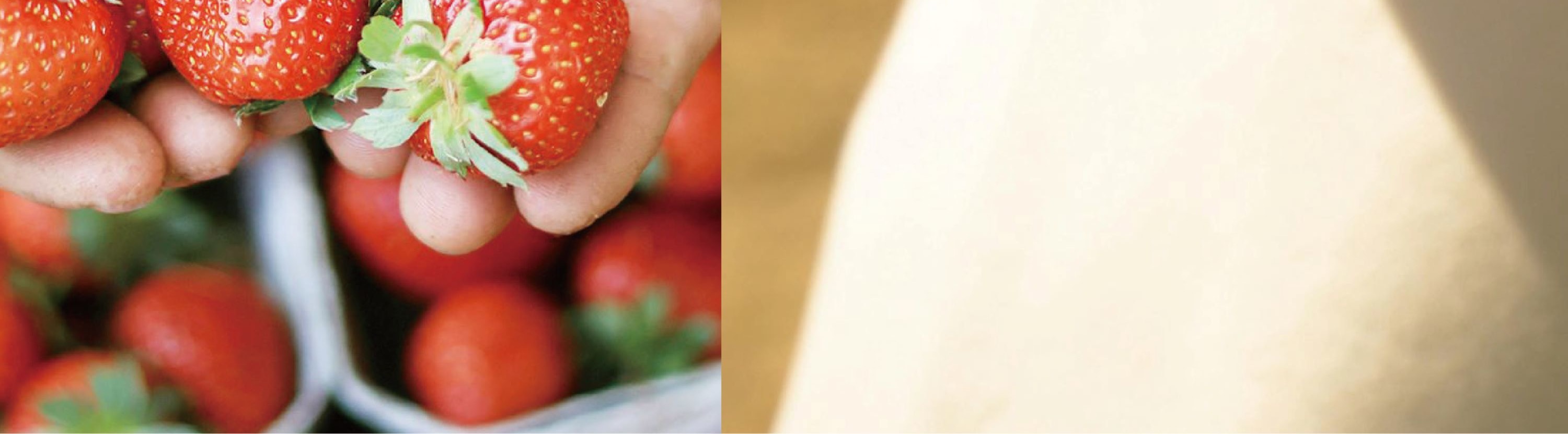 Cheongyang Ice Festival & Nami & Eobi Ice Valley & Strawberry Tour
