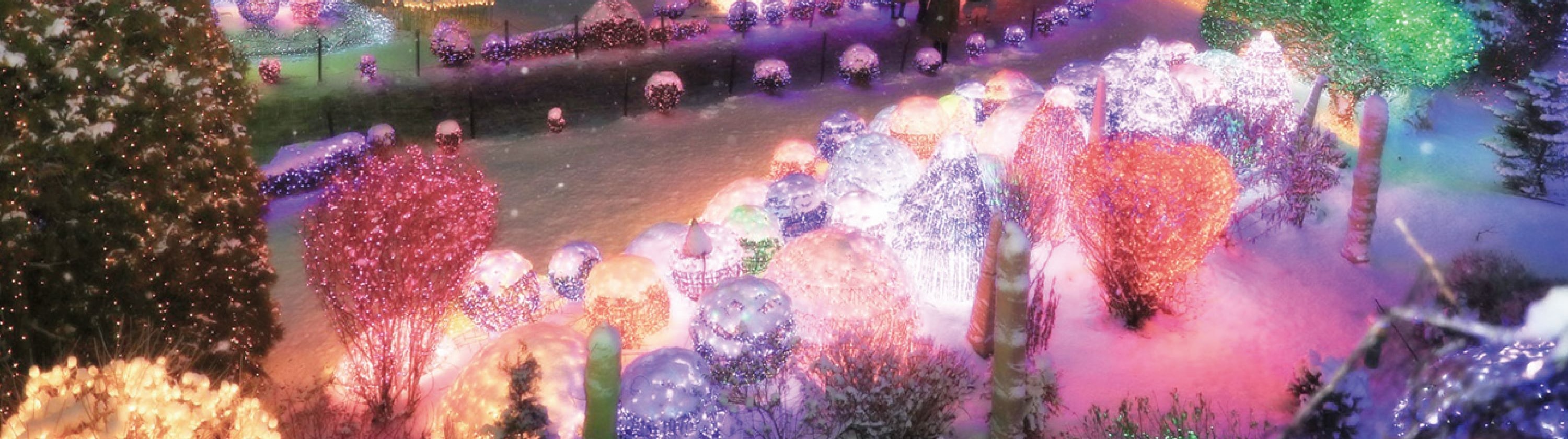 Cheongyang Ice Festival & Nami & Eobi Ice Valley & Strawberry Tour