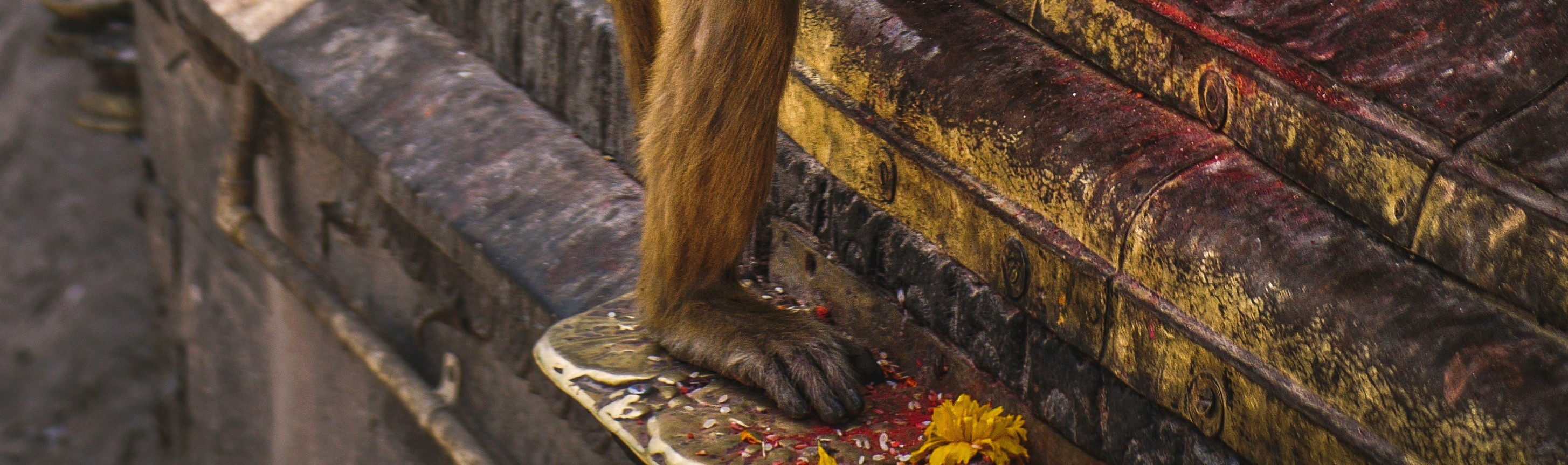 The Golden Hour Journey: Swayambhunath and the City of Lights