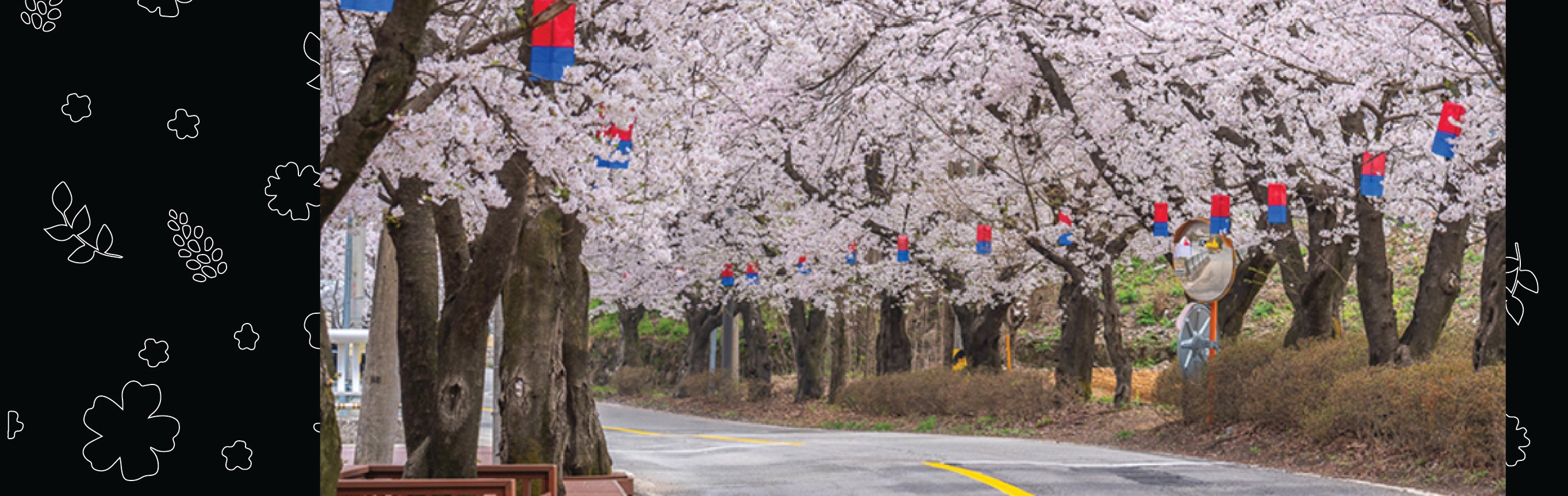 南怡島 (Nami Island) & 伊甸園冰雪世界 (Eobi Ice Valley) & 全景場 (Panorama Field) &  晨靜樹木園 (Morning Calm) 旅遊