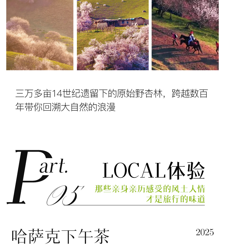 新疆早春伊犁杏韻伊春7日（攝影領隊全程陪同+大西溝+吐爾根杏花+賽里木湖+庫爾德寧草原小火鍋+安集海大峽谷+喀贊其下午茶）