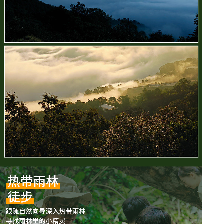 雲南版納往事6日（告莊夜市+傣族園+景邁山+中科院植物園+雨林徒步+野象谷+糯幹翁基古寨）