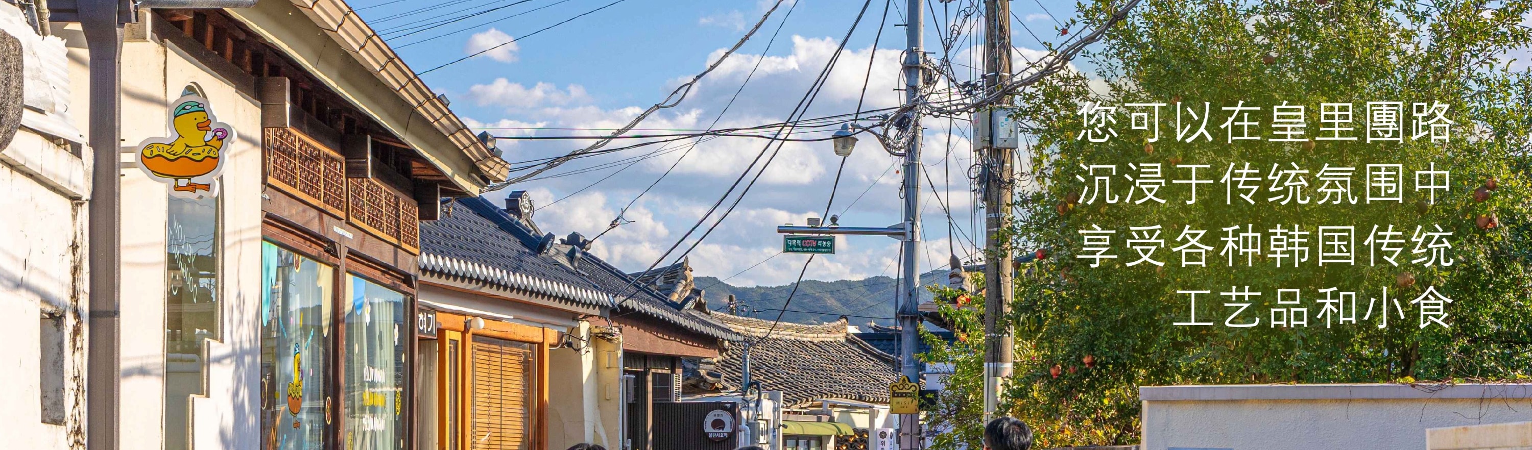 釜山 & 慶州一日遊（釜山出發）